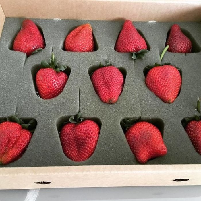 fresas