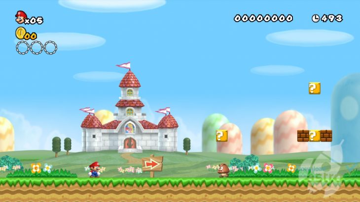 New Super Mario Bros. Wii