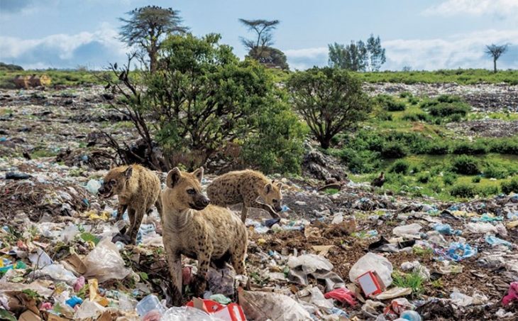 El mundo inundado de plástico