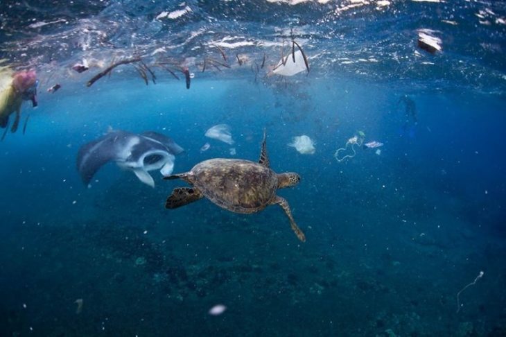 El mundo inundado de plástico