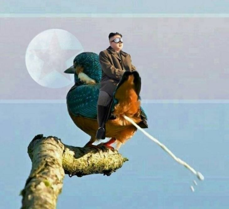 Batalla de Photoshop con pájaro