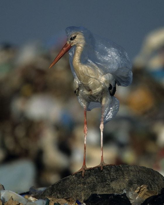 El mundo inundado de plástico