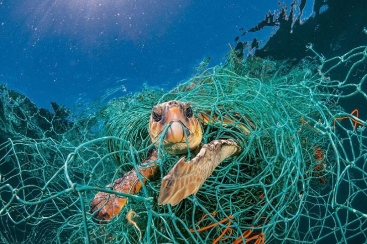 El mundo inundado de plástico