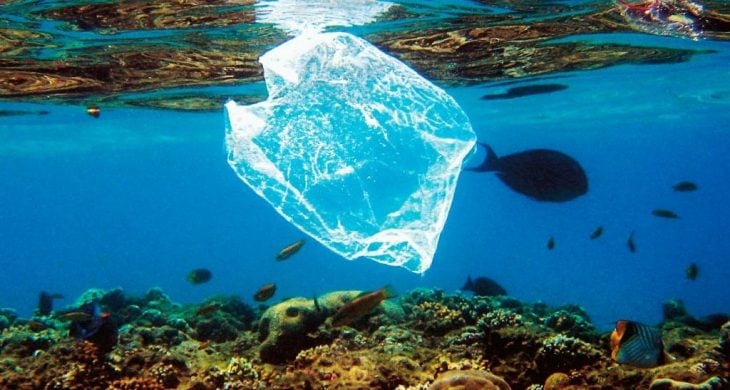 Bolsa de plástico en el mar
