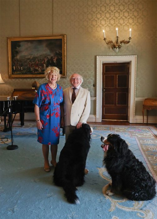 Michael D. Higgins