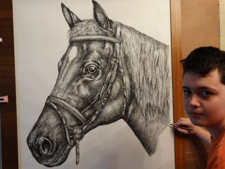 Dušan Krtolica dibujo caballo