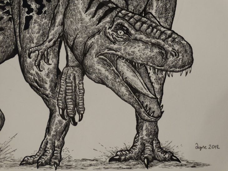 Dušan Krtolica dibujo dinosaurio