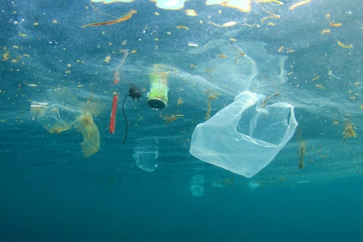 Bolsa de plástico en el mar