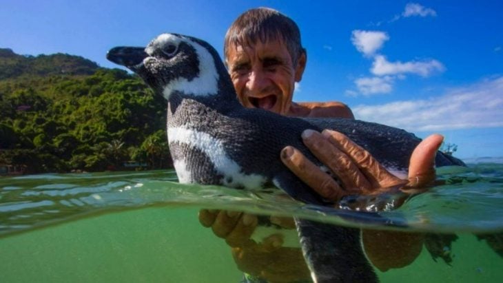 DinDim el pingüino agradecido