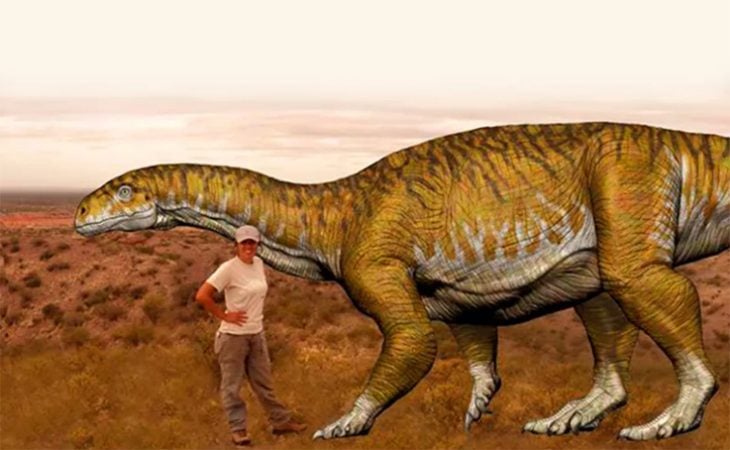 Descubrimiento de fósil de dinosaurio