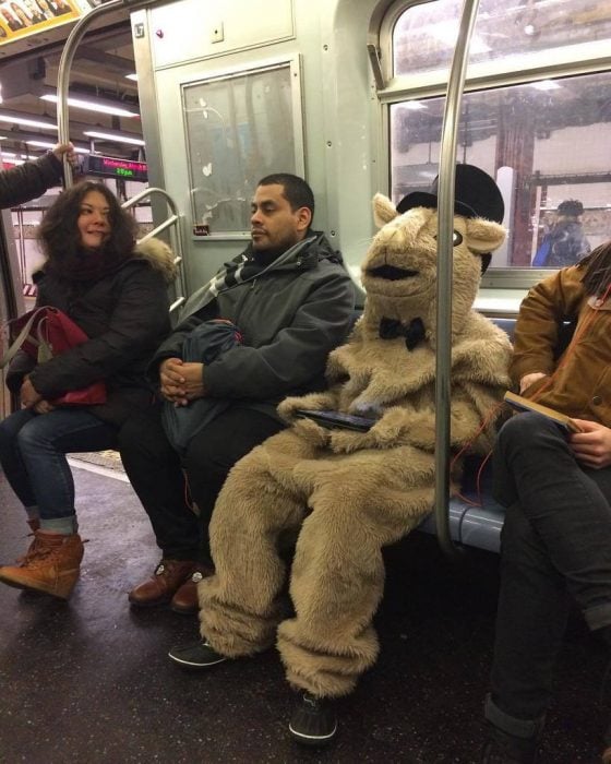 disfraz de oveja en el metro