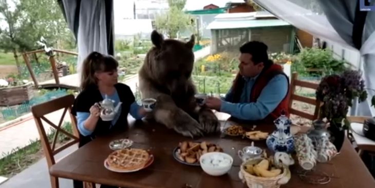 Rusos oso mascota