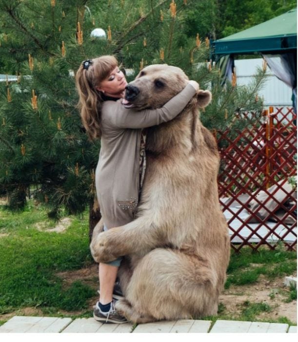 Rusos oso mascota