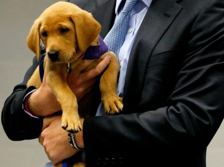 perro policía 1