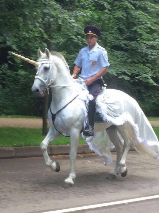 Cosas raras Rusia unicornio