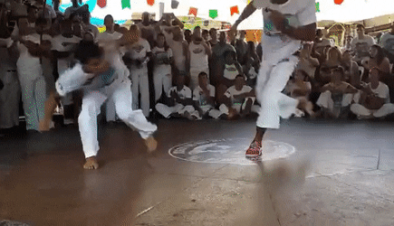 Capoeira gif