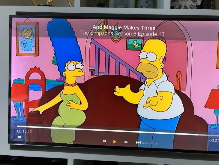 homero y marge error