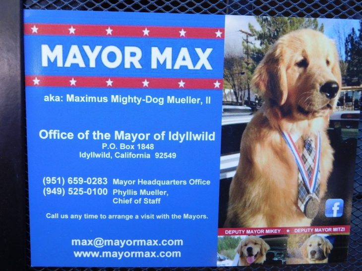 Alcalde perro Max