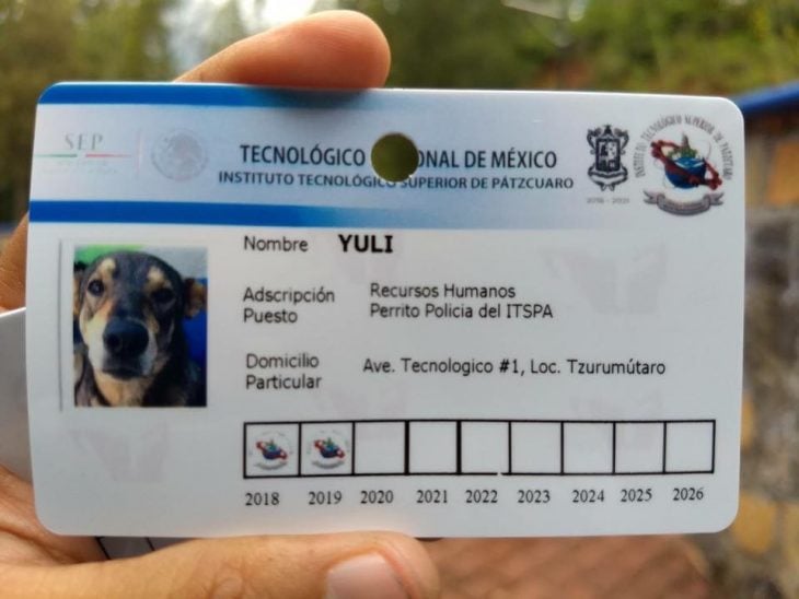 credenciales perros policias