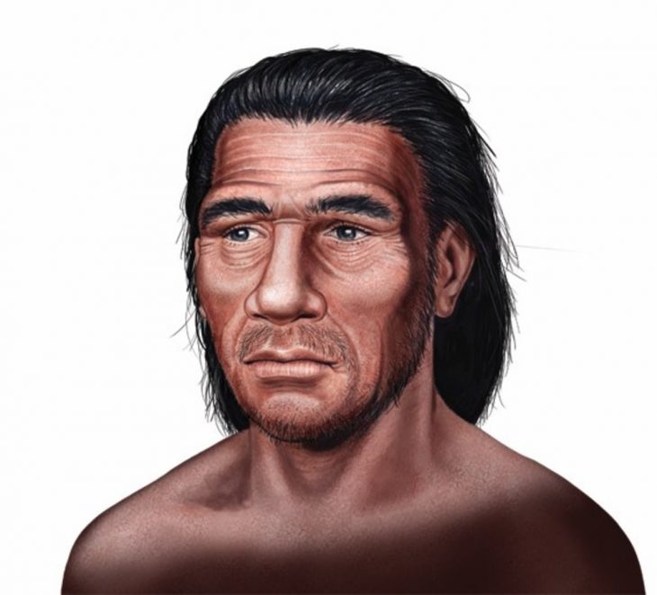 Homo neanderthalensis