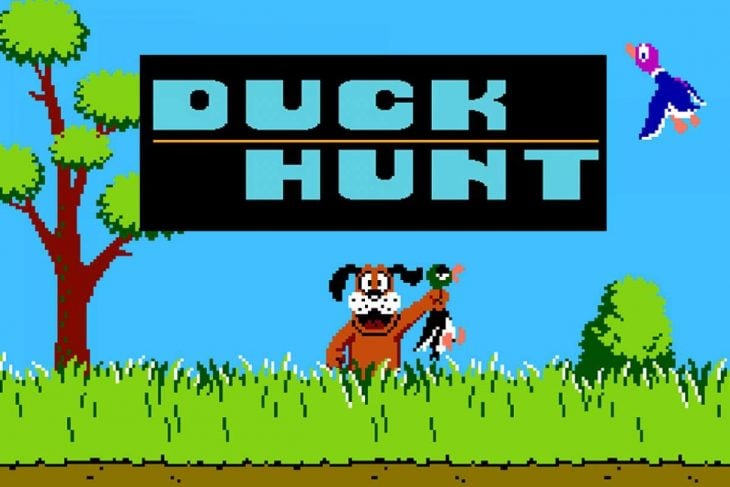 duck hunt