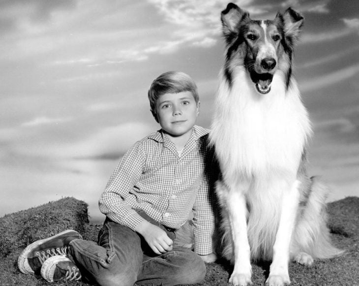 Lassie