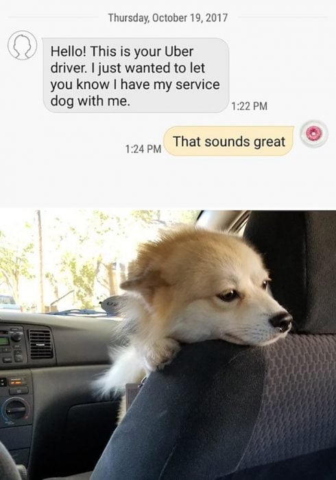 Conductores Uber perro
