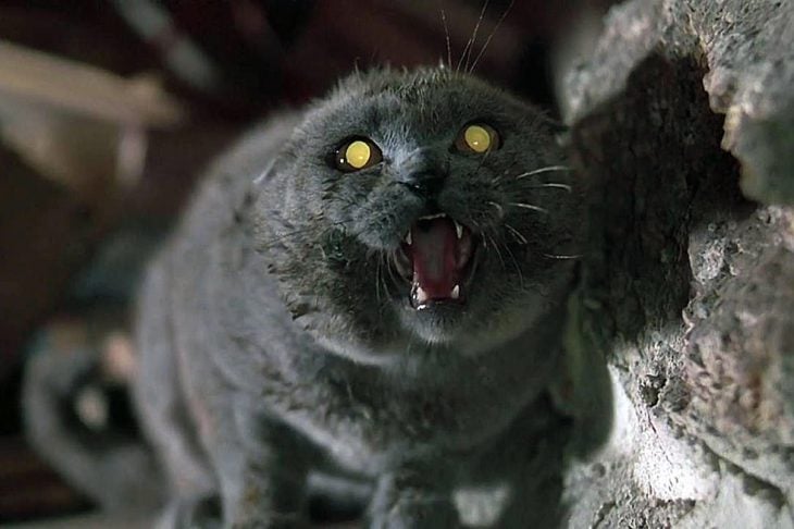 Pet Sematary