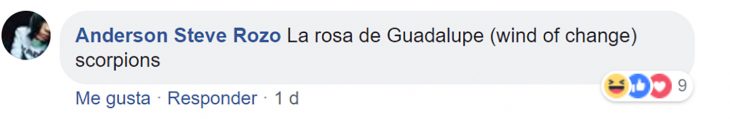 La rosa de Guadalupe