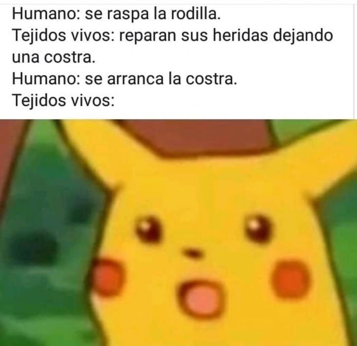 pikachu sorprendido meme