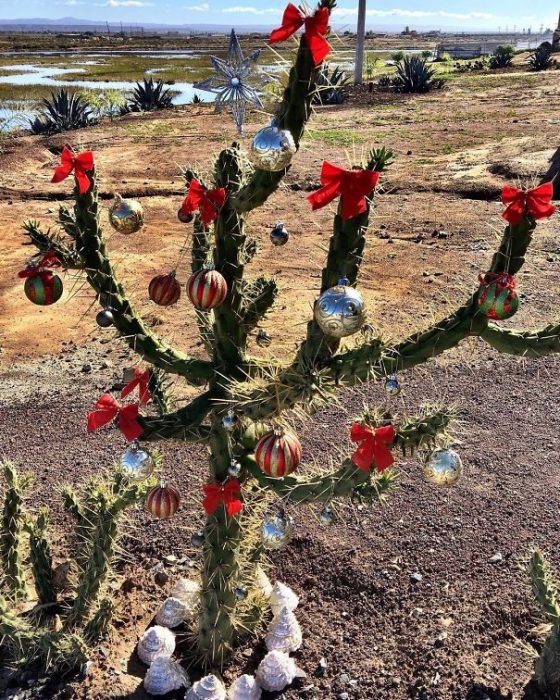 Árboles de Navidad increíbles