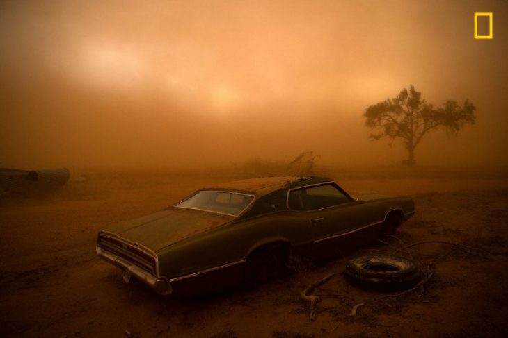 Thinderbird in the dust de Nicholas Moir.