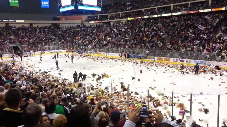 Teddy Bear Toss