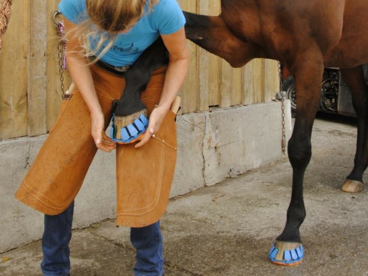 inventos modernos zapatillas caballos