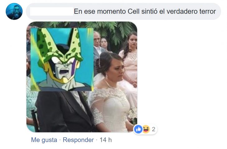 memes boda 24