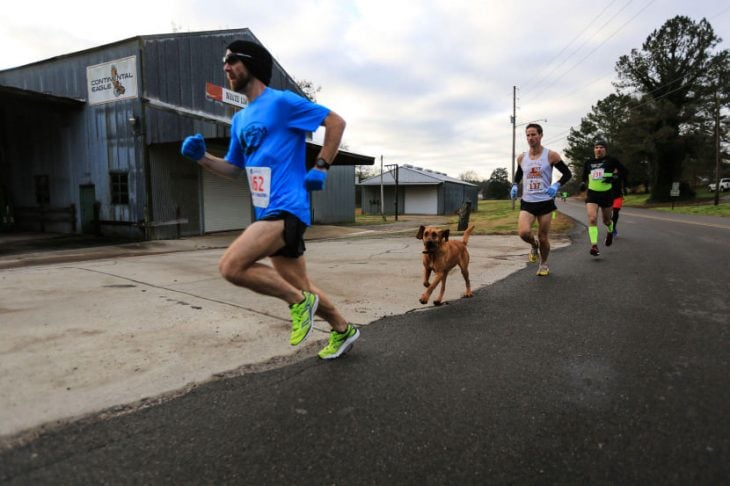 perro corre maratón