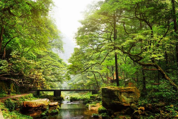 Paisaje en China