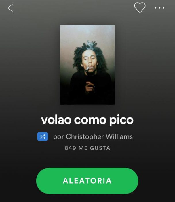 listas raras de spotify