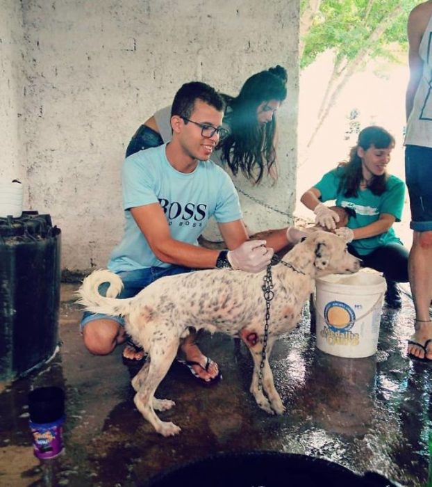 Recicla llantas viejas para hacer camas para animalitos de la calle 