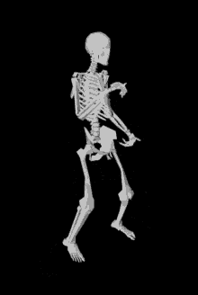 esqueleto gif