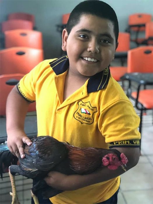 Niño con gallo