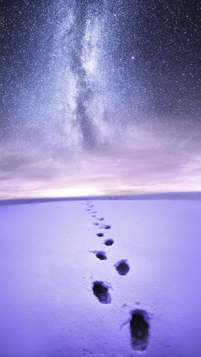 Fondos de pantalla naturaleza nieve