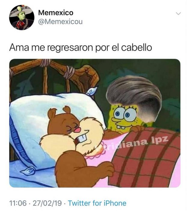 meme bob esponja amá 11