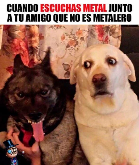 metal meme laguiadelvaron