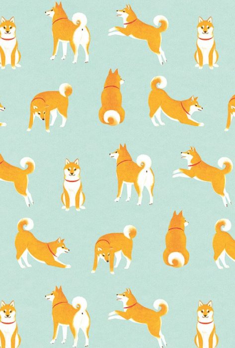 Fondos de pantalla corgi