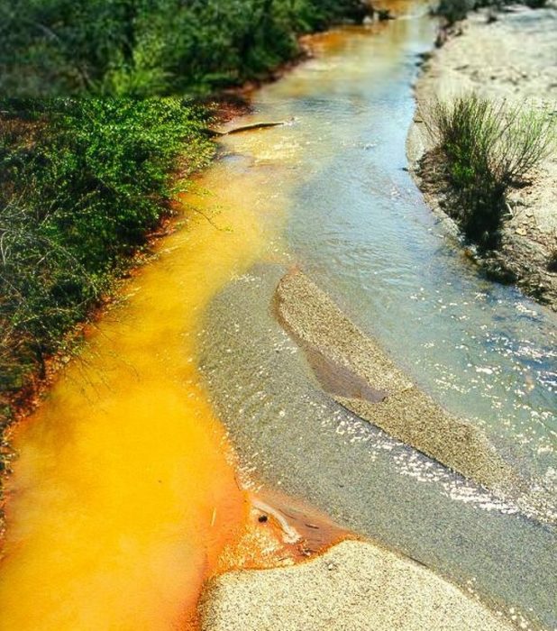 Imágenes impactantes del medio ambiente