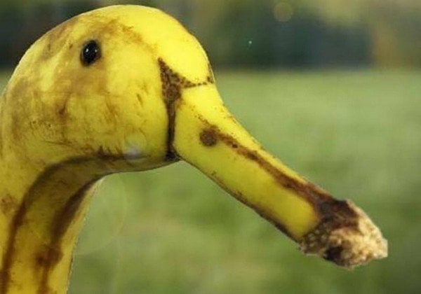 imágenes confusas divertidas plátano