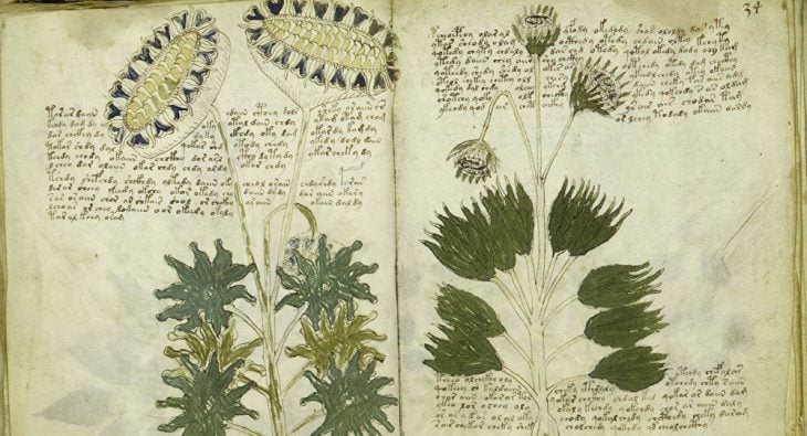 Manuscrito Voynich