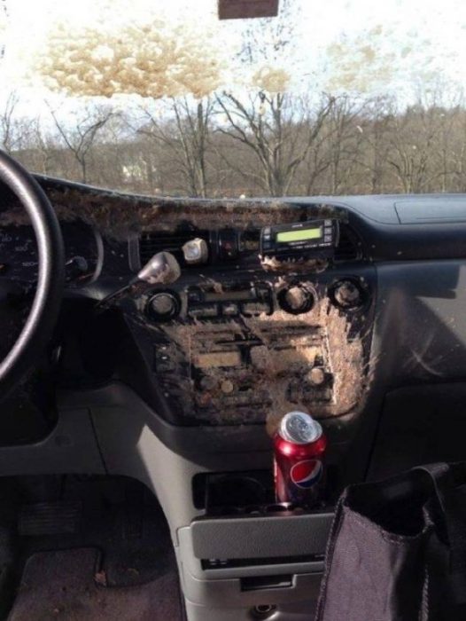 coches en un mal día refresco