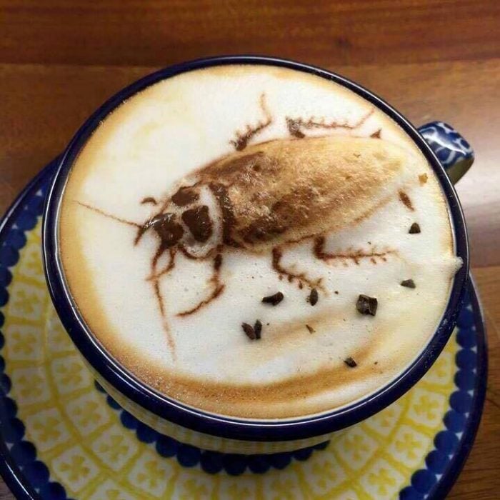 Malas ideas bien ejecutadas café cucaracha